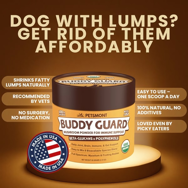 A clean, text-heavy 1:1 ad creative positioning mushroom powder as a natural solution for fatty lumps in dogs.